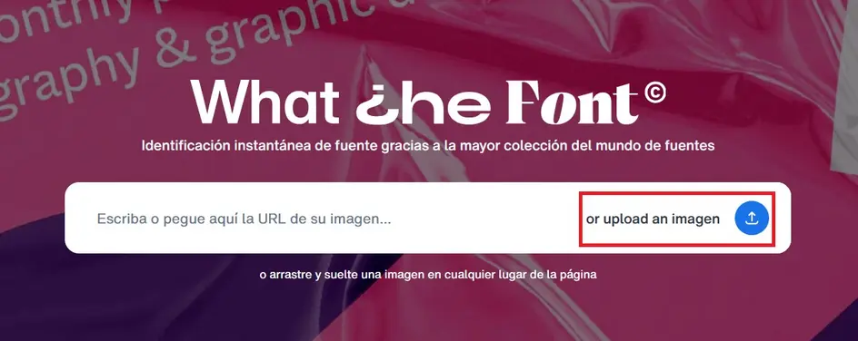 Herramientas de diseño y branding para crear una identidad visual profesional