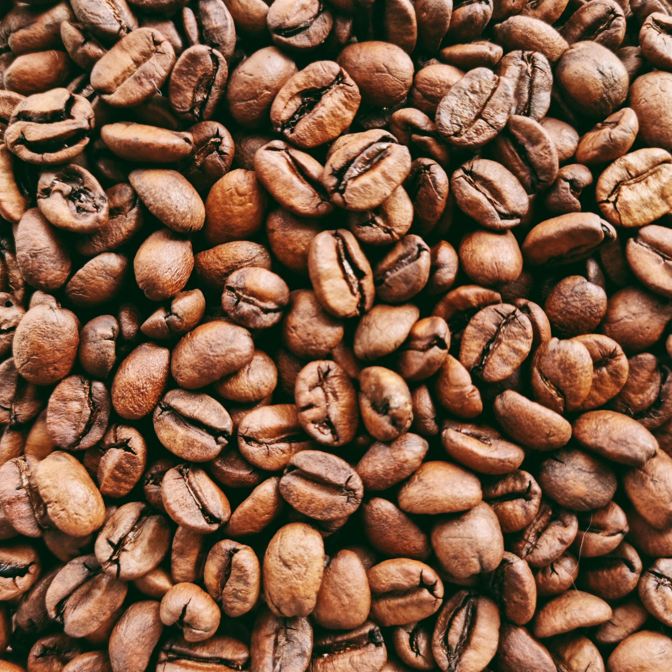 brunno tozzo ju9pa9ss p8 unsplash